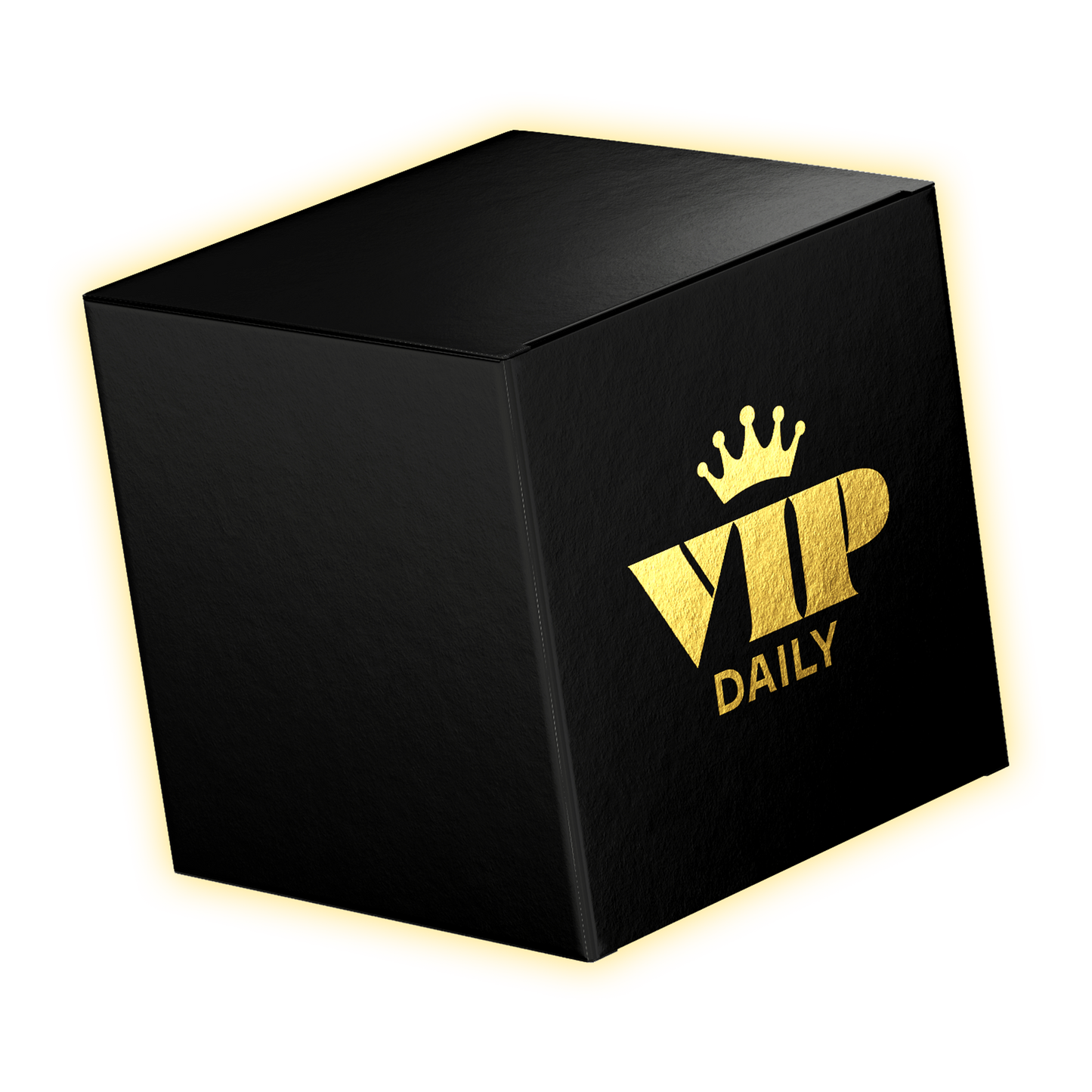 VIP PACKAGE